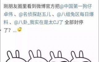 娱乐吃瓜大事件,揭秘年度最热吃瓜大事件