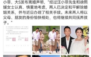 2024年度吃瓜娱乐圈,瓜田李下，明星风云录