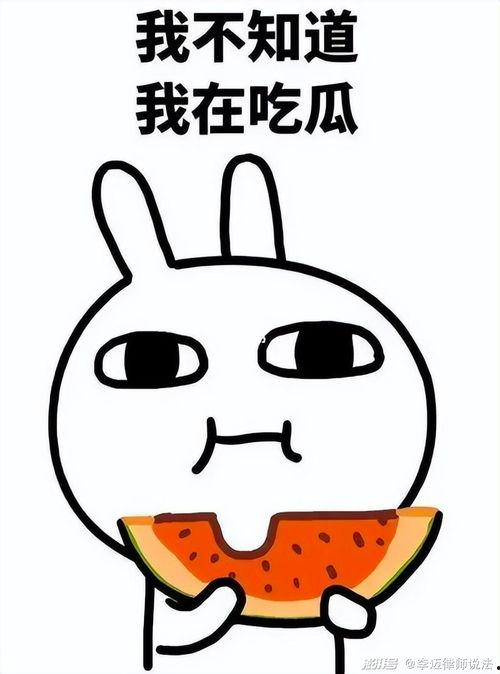 824吃瓜网盘-第3张图片-吃瓜群 824吃瓜网盘-第3张图片-吃瓜群