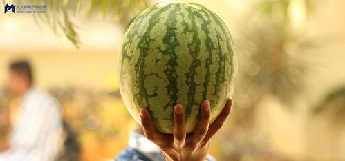 娱乐吃瓜大事件,揭秘年度最热吃瓜大事件-第3张图片-吃瓜群