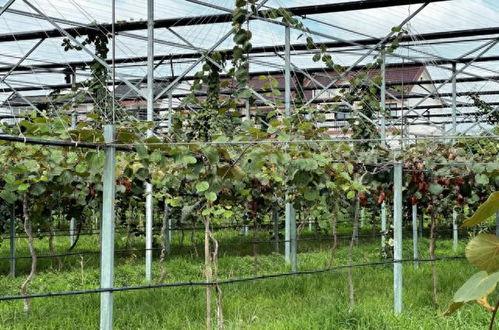 网红吃瓜营地,揭秘娱乐圈幕后风云-第3张图片-吃瓜群 网红吃瓜营地,揭秘娱乐圈幕后风云-第3张图片-吃瓜群