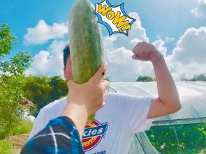 网红cp吃瓜,吃瓜群众热议不断!-第2张图片-吃瓜群 网红cp吃瓜,吃瓜群众热议不断!-第2张图片-吃瓜群